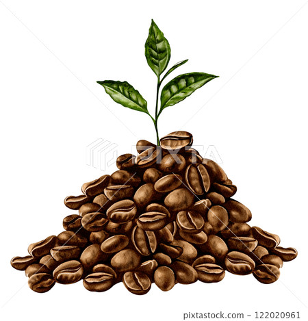 A pile of coffee beans. A sprout of a coffee tree grows from them. Coffee beans are brown. The sprout is not big, green with leaves. Watercolor illustration.  122020961