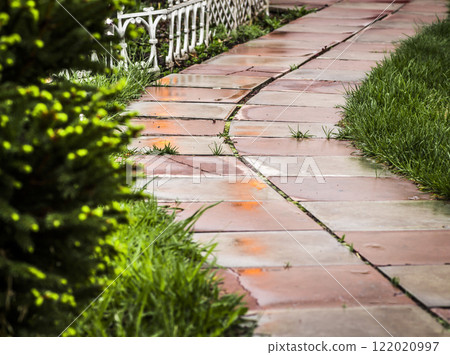 Part of the garden path 122020997