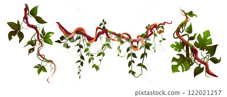 Jungle liana set with twisted vine stems Jungle liana set with twisted vine stems 122021257