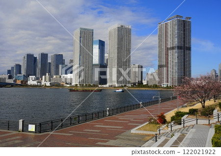 The skyscrapers of Harumi as seen from Toyosu Park February 314 The skyscrapers of Harumi and Toyosu Park view 122021922