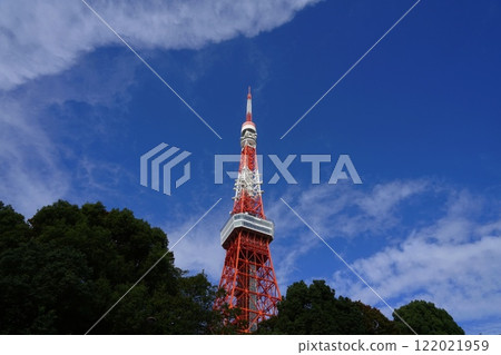 從芝公園看到的東京鐵塔 1920 年 11 月 港區東京鐵塔 從芝公園看到的東京鐵塔 1920 年 11 月 港區東京鐵塔 122021959