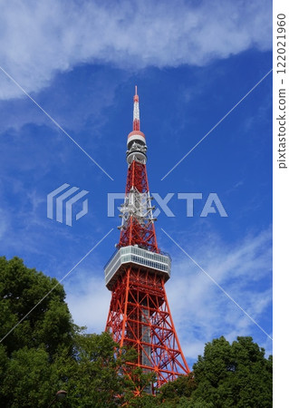 從芝公園看到的東京鐵塔 1921 年 11 月 港區東京鐵塔 122021960