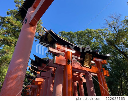 Torii gates shining against the blue sky at Fushimi Inari Taisha Shrine in Kyoto 122022163