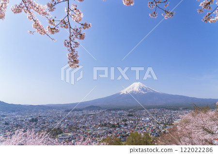 櫻花盛開的新倉山淺間公園與藍天映襯下的富士山的春天景色【山梨縣富士吉田市】 122022286