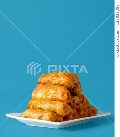 Cabbage rolls with meat and rice, romanian traditional dish 122022383