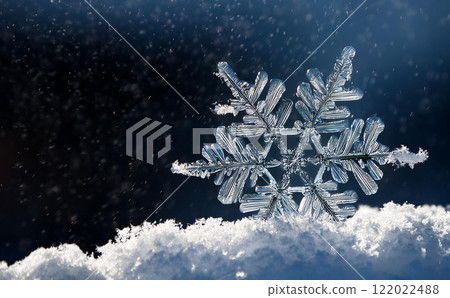 Snow Crystal 2 122022488