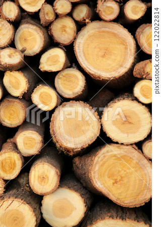 Abstract background with a wooden cut of logs stacked on top of each other. Vertical photo. Abstract background with a wooden cut of logs stacked on top of each other. Vertical photo. 122022814