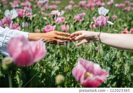 Two women's hands meet in a gentle touch, fingertips lightly brushing against each other amidst a field of pink poppies swaying gracefully in the wind. A high-quality photo capturing the softness and Two women's hands meet in a gentle touch, fingertips lightly brushing against each other amidst a field of pink poppies swaying gracefully in the wind. A high-quality photo capturing the softness and 122023365