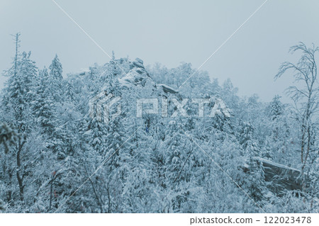 Rock on winter forest on a cold day 122023478