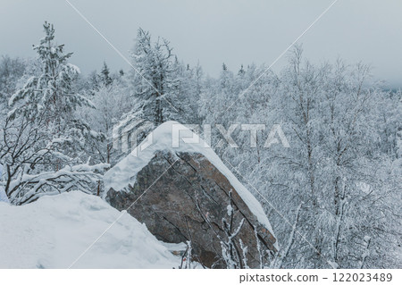 Rock on winter forest on a cold day 122023489