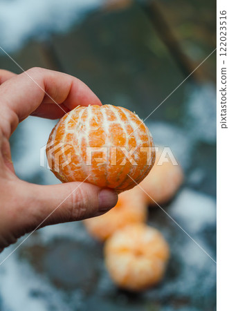female hand holding a peeled mandarin orange on a wooden surface. High quality photo 122023516