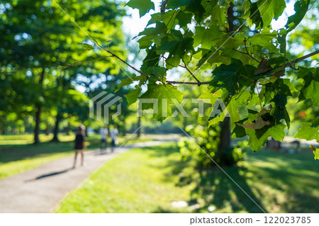 People jogging in Angrignon Park in summer time. Montreal, Quebec, Canada. 122023785