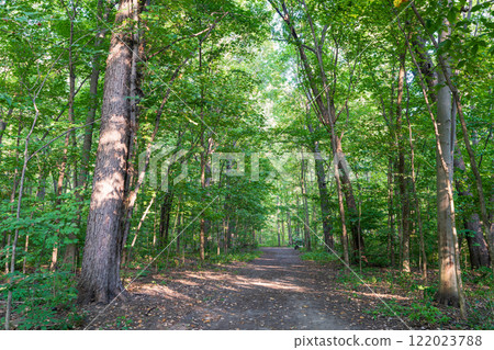 Angrignon Park walking trail in summer time. Montreal, Quebec, Canada. 122023788