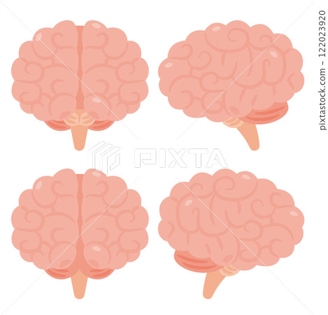 Healthy and beautiful brain illustration set 122023920