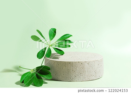 Concrete empty podium with green leaves on light green background Concrete empty podium with green leaves on light green background 122024153