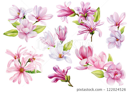 Pink magnolia flowers watercolor clipart Hand-painted botanical Illustration isolated Wedding invitation, design project 122024526