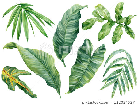 Watercolor tropical leaves set, green palm banana leaf illustration isolated, botanical nature clipart for design decor 122024527