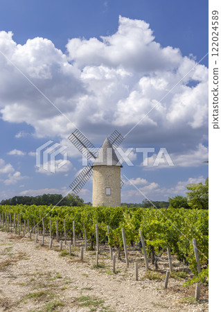 Vineyards with Lamarque windmill, Haut-Medoc, Bordeaux, Aquitaine, France Vineyards with Lamarque windmill, Haut-Medoc, Bordeaux, Aquitaine, France 122024589