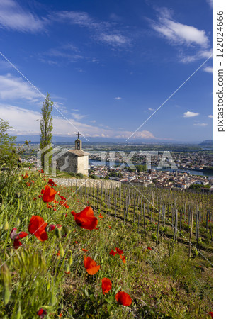 Grand cru vineyard and Chapel of Saint Christopher, Tain l'Hermitage, Rhone-Alpes, France Grand cru vineyard and Chapel of Saint Christopher, Tain l'Hermitage, Rhone-Alpes, France 122024666