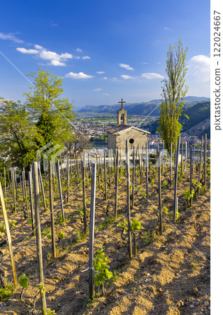 Grand cru vineyard and Chapel of Saint Christopher, Tain l'Hermitage, Rhone-Alpes, France Grand cru vineyard and Chapel of Saint Christopher, Tain l'Hermitage, Rhone-Alpes, France 122024667