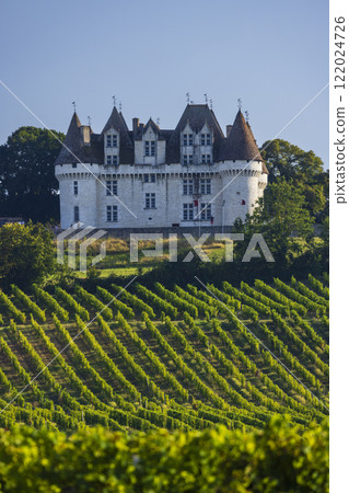Chateau Monbazillac ( Monbazillac castle) with vineyards, Aquitaine, France Chateau Monbazillac ( Monbazillac castle) with vineyards, Aquitaine, France 122024726