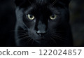 Black cat with yellow eyes stares at the camera. The cat's eyes are wide open, and its fur is sleek and shiny. The image has a mysterious and intense mood 122024857