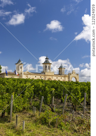 Vineyards with Chateau Cos d'Estournel, Bordeaux, Aquitaine, France Vineyards with Chateau Cos d'Estournel, Bordeaux, Aquitaine, France 122024959