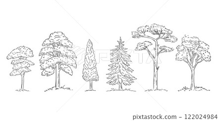 Hand drawn trees. Isolated outline plant. Contour forest sketch. Line shape of natural environment. Wood scene 122024984