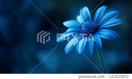 Blue flower is the main focus of the image. The blue color of the flower is vibrant and eye-catching, making it stand out against the dark background. The flower appears to be in a natural setting Blue flower is the main focus of the image. The blue color of the flower is vibrant and eye-catching, making it stand out against the dark background. The flower appears to be in a natural setting 122025052