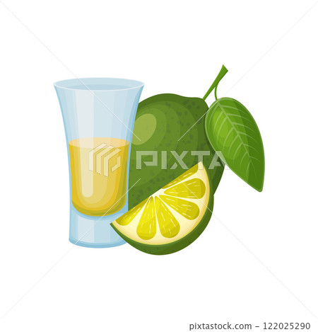 Tequila. An illustration of a shot glass with tequila and sliced lime slices. Strong alcoholic drink. A glass of tequila and lime. Vector illustration. Tequila. An illustration of a shot glass with tequila and sliced lime slices. Strong alcoholic drink. A glass of tequila and lime. Vector illustration. 122025290