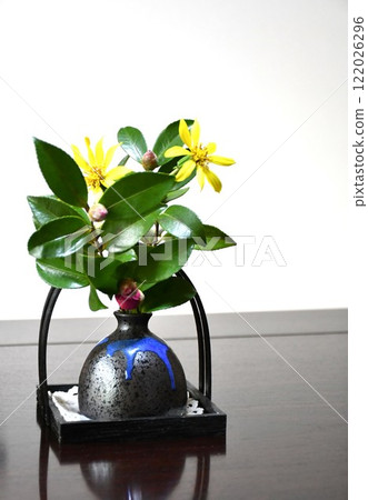 小插花光影 122026296