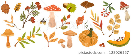 2597_autumnl_setnew 122026367