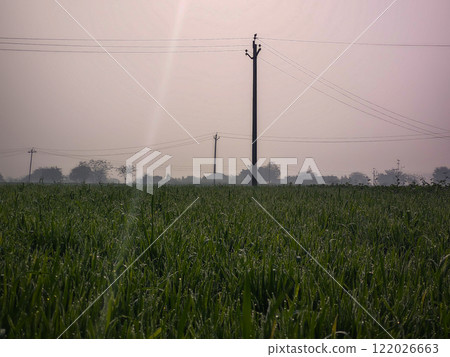 electricity pole and sunbeam electricity pole and sunbeam 122026663