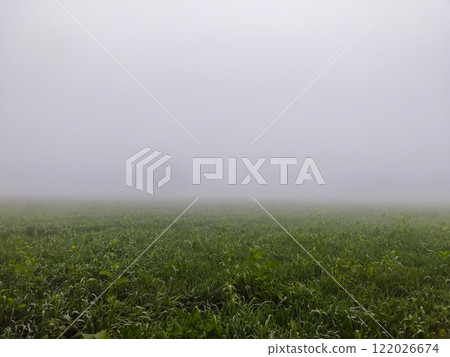 Beautiful natural background Beautiful natural background 122026674