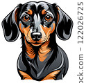 Color Illustration of a Dachshund Dog 122026725