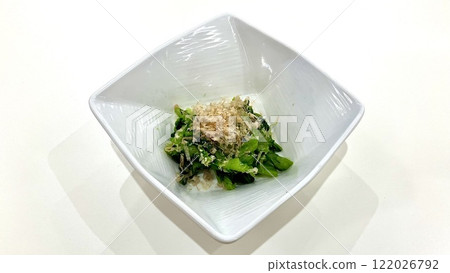 菠菜 菠菜 122026792
