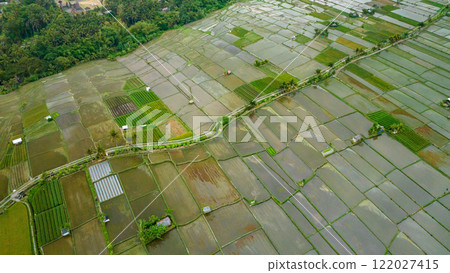 Rice Terrace, Ubud, Bali, Indonesia. Top view 122027415