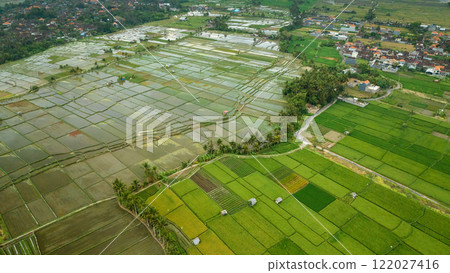 Rice Terrace, Ubud, Bali, Indonesia. Top view Rice Terrace, Ubud, Bali, Indonesia. Top view 122027416