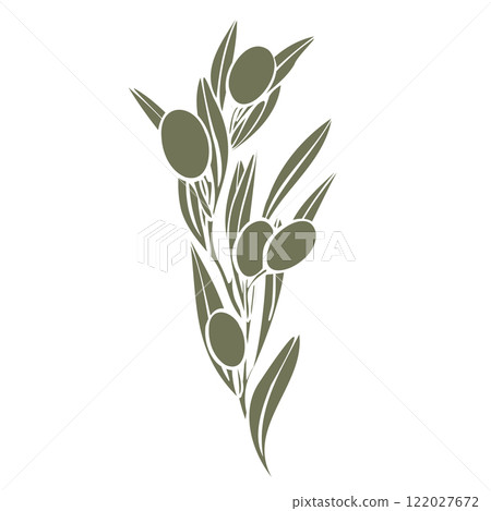 Hand drawn olive branch vector illustration with linear silhouette with fruits and leaves in olive green color. Minimalistic composition. elegant botanical elements for logo, packaging, textiles, menu 122027672