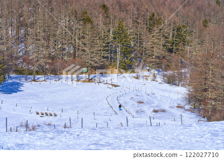 冬季，從長野縣富士見町入笠山北坡俯瞰濕地 122027710
