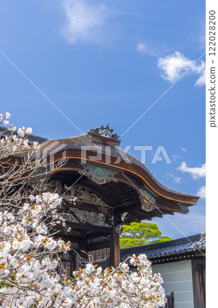 Spring in Kyoto: Ninnaji Temple, cherry blossoms in full bloom and the Imperial Gate Spring in Kyoto: Ninnaji Temple, cherry blossoms in full bloom and the Imperial Gate 122028200