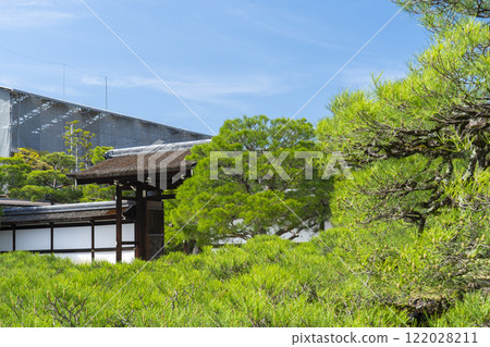 仁和寺宮花園，宮殿入口，巨大的松樹 122028211