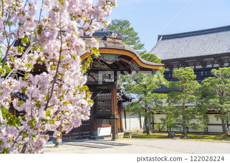 仁和寺宮花園南花園欽差門和櫻花 仁和寺宮花園南花園欽差門和櫻花 122028224