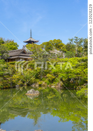 Ninnaji Imperial Garden: North Garden, Hitotei and Five-story Pagoda Ninnaji Imperial Garden: North Garden, Hitotei and Five-story Pagoda 122028229