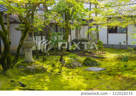 Ninnaji Temple Imperial Palace Garden: Moss garden on the south side of Kuroshoin Ninnaji Temple Imperial Palace Garden: Moss garden on the south side of Kuroshoin 122028235