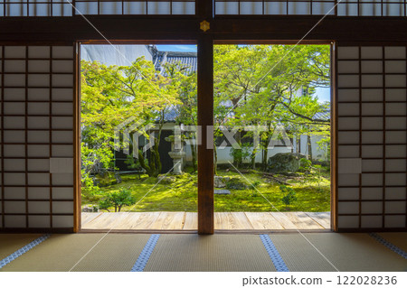 Ninnaji Imperial Palace Garden: Moss garden on the south side of Kuroshoin (Black Study) - Framed composition 122028236
