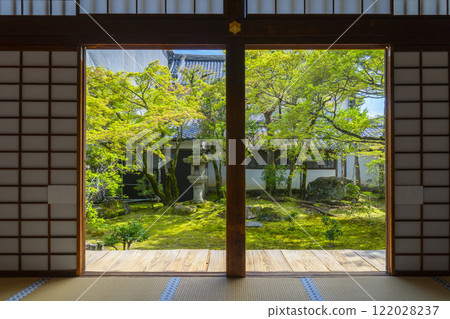 Ninnaji Imperial Palace Garden: Moss garden on the south side of Kuroshoin (Black Study) - Framed composition 122028237