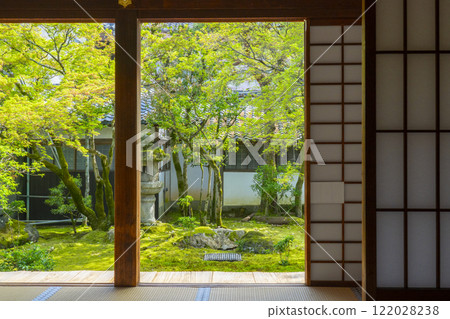 仁和寺皇宮花園、黑書院南側的苔蘚花園、框架構成 122028238