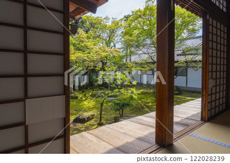 Ninnaji Temple Imperial Palace Garden: Moss garden on the south side of Kuroshoin 122028239