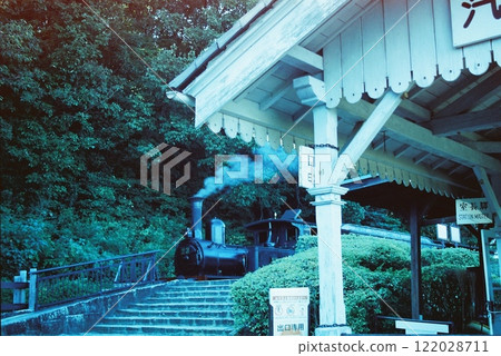 steam locomotive  122028711